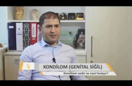 Kondilom (Genital Siğil) Nedir | Nasıl Bulaşır?